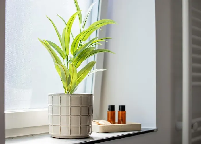 Kasselrooms Loft - Friedrichsplatz